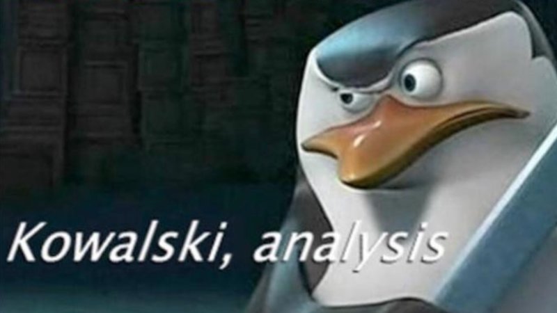 The Best "Kowalski, Analysis" Memes The Best "Kowalski, Analysis" Memes