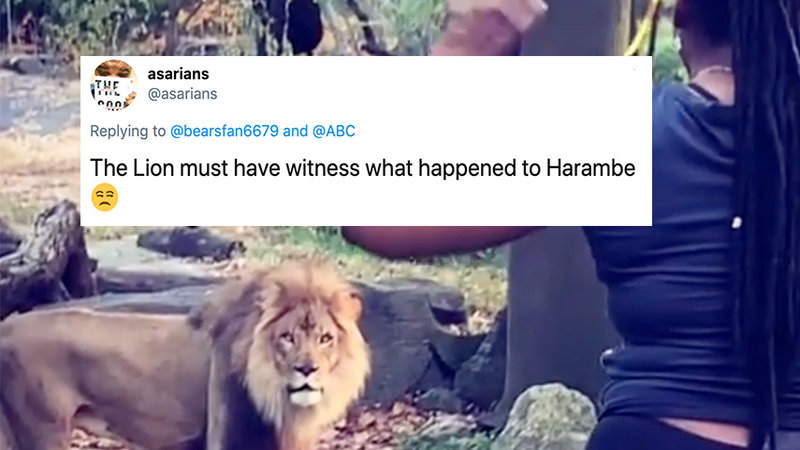 Rage Against The Meme Should We Use Memes In Our Marketing