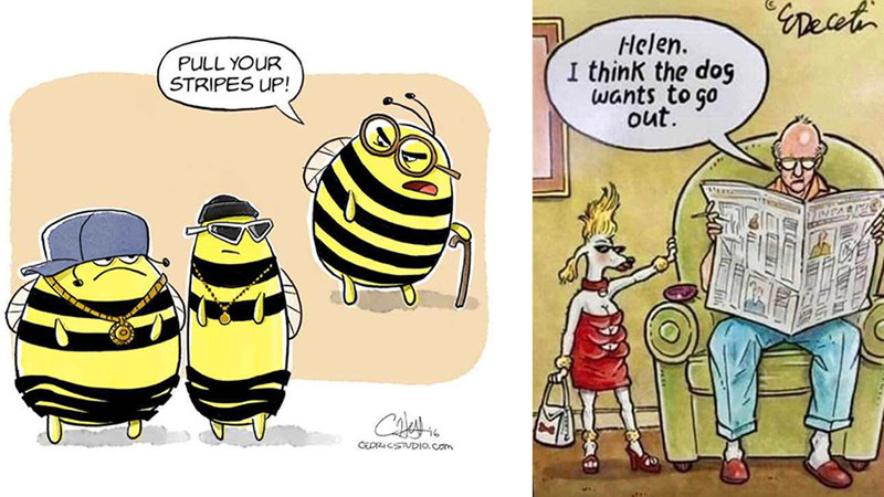 A collection of comics for baby boomers images of dogs and bees and boomers 