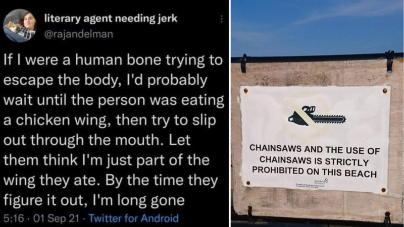 Two suspiciously specific posts in the following collection.