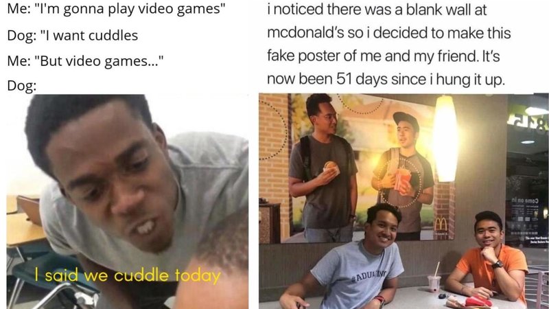 Two wholesome memes in the following collection.