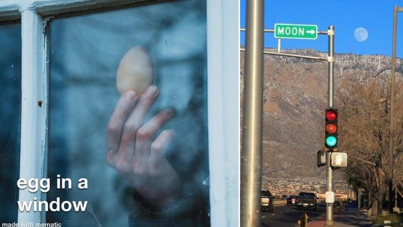 Two images from /r/literallythetruth in the following collection.