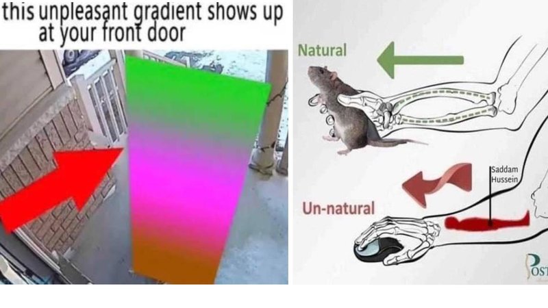 10 Surreal Memes For A Momentary Existential Crisis Two images from the following collection.