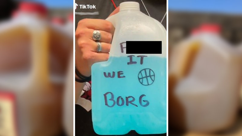 What Is Borg Explainer / tiktok borgs drinking trend.