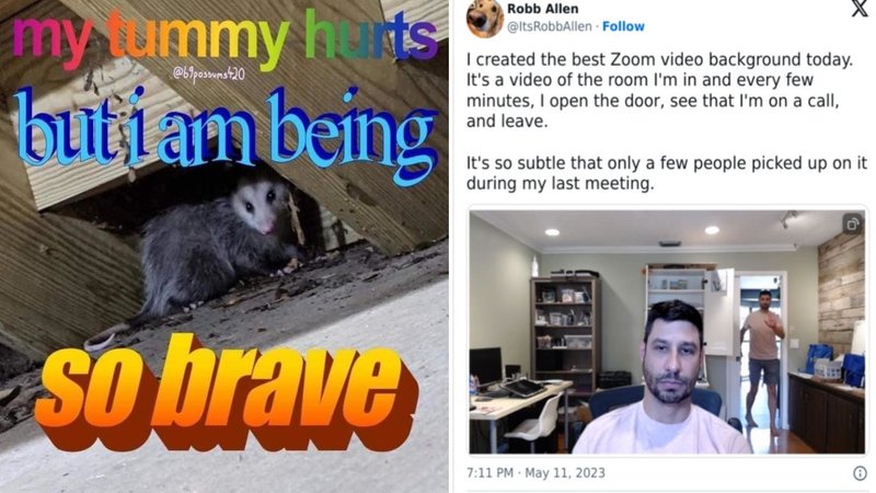 25 Random Images For A Less Predictable Scrolling Experience | Know ...