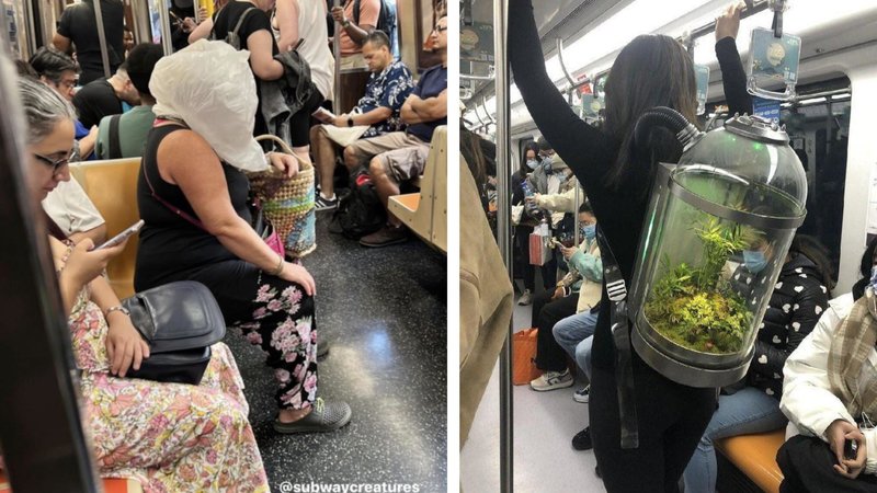 Two images of "subway creatures" from the following collection.