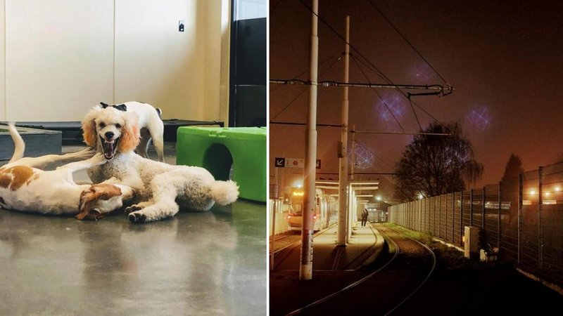 25 Strangely Terrifying Photos Creeping Us Out Two images from /r/oddlyterrifying