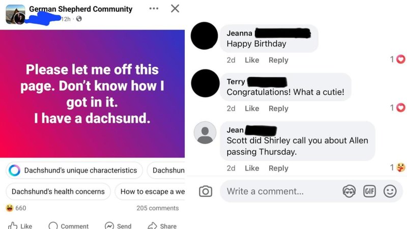 28 Hilarious Times Elders Tried To Use The Internet