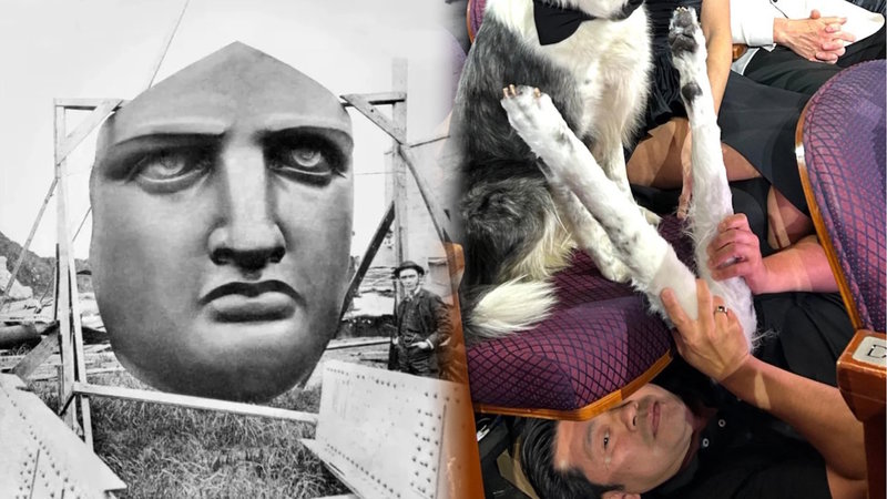 Face of the Statue of Liberty before it was installed and Nessi the Dog at the Oscars.