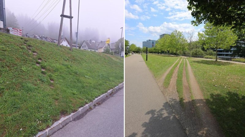 Someone Desired These 25 Paths Two paths.