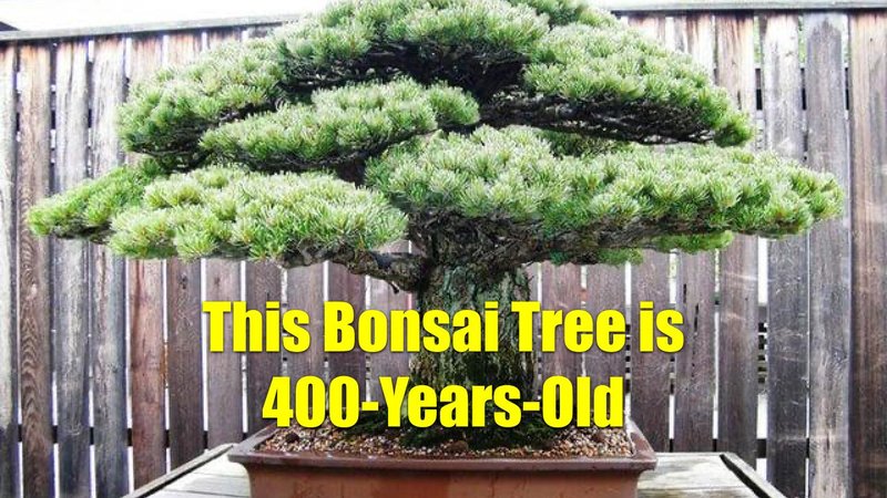 Blow Your Mind With 26 Things You Probably Haven't Seen Two images.