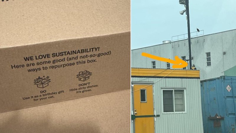 These 25 Sneaky Hidden Gems Were Spotted In The Wild Two photos.