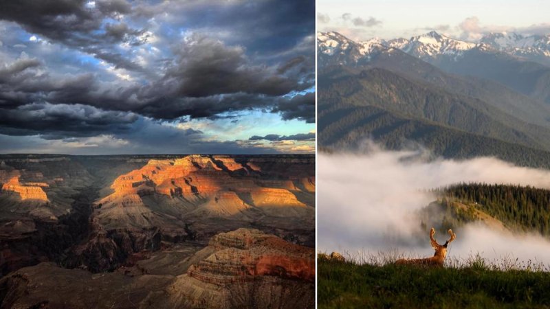 Two photos.