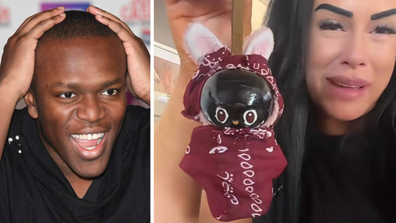 The KSI Labubu video from TikTok user The Jungle Pups, aka @lilzbullzofficial, explained.