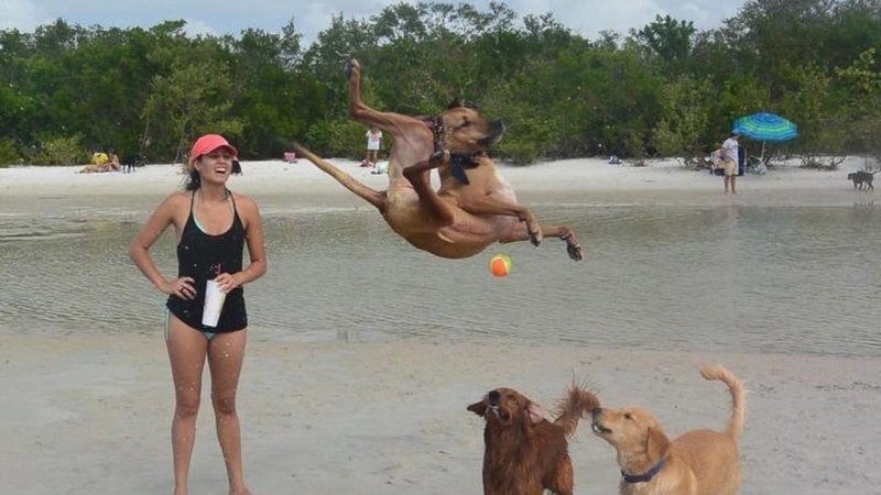 These 25 Photos Could Not Have Been Timed Better Two photos.