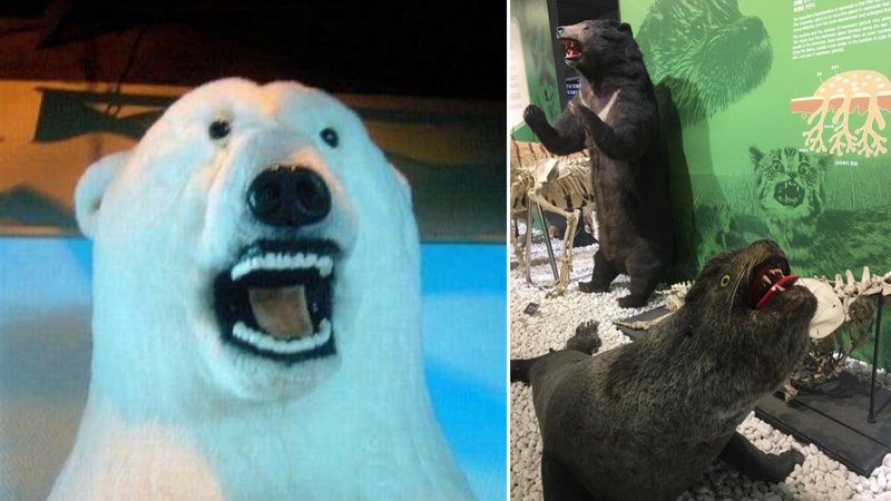 Two photos.