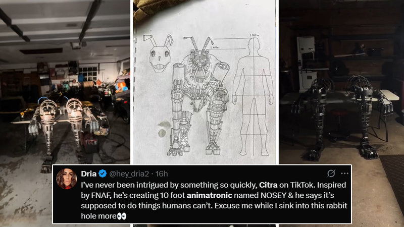 Nosey Project Animatronic / Citra Robot explained.