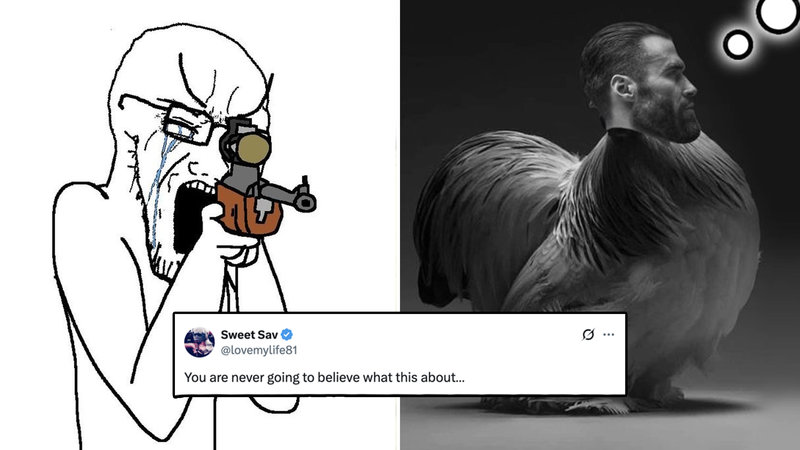 A Chad rooster meme and a Soyjak representing Twitter user @pnwguerrilla.