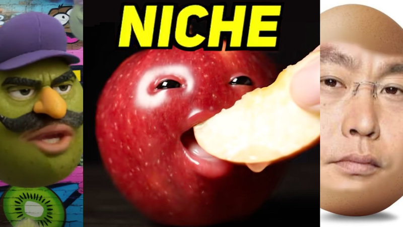 Memes from TikTok's Niche Community explained