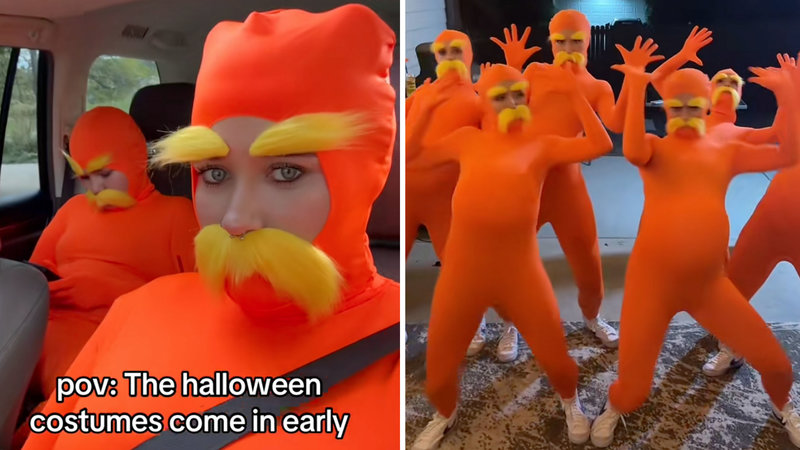 The Lorax costume girls explained.