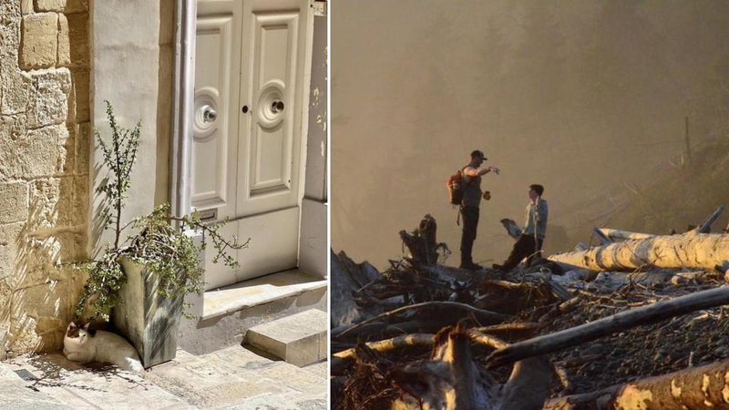 Two photos.