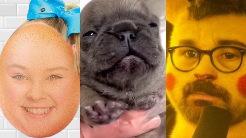 The Weekly Meme Roundup: Hasan's Shock Collar, Pibble, JoJo Siwa Egg And More Weekly Meme Roundup depicting Hasan dog Shock Collar, Pibble and JoJo Siwa Egg memes.
