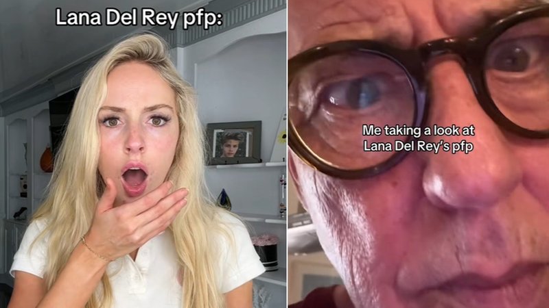 Why Are People Freaking Out About 'Lana Del Rey's TikTok Profile Picture? The Reactions To The Spicy PFP Explained 