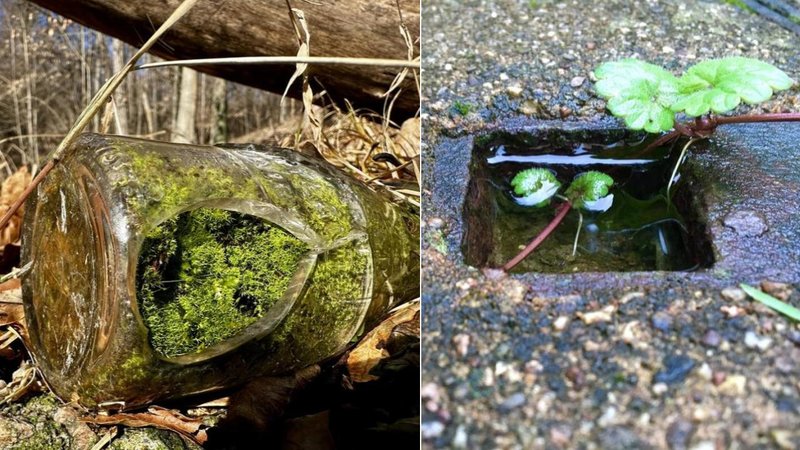 Two photos of mini worlds.