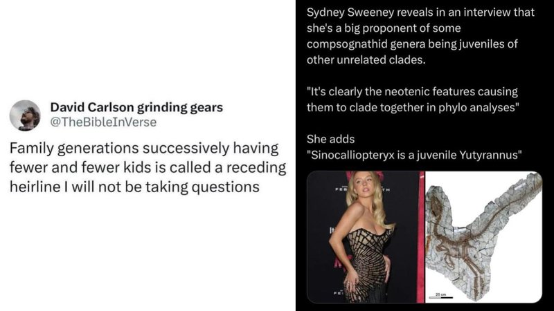 Two screenshots of headlines and sentences.