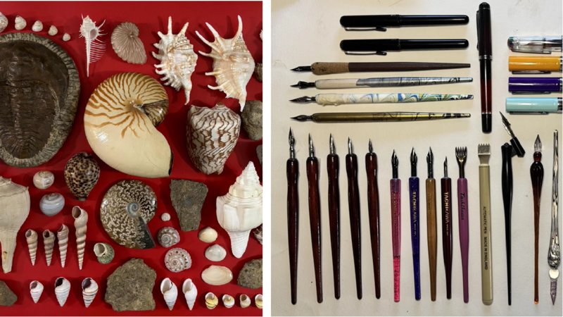 Two images of neat arrangements of seashells and some pens.