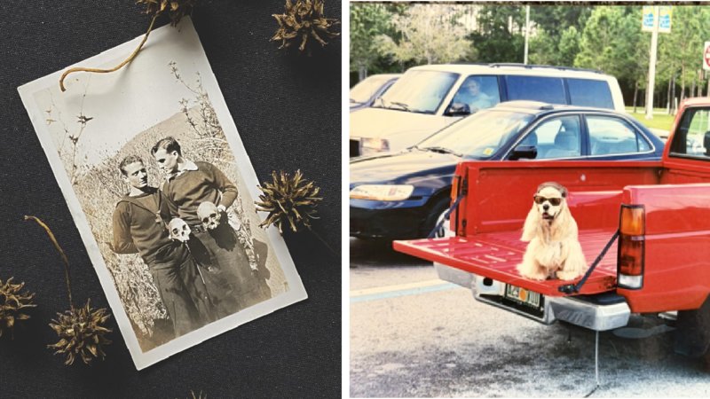 Two film photos, one of two men standing with skulls and one of a dog with sunglasses in a red truck.