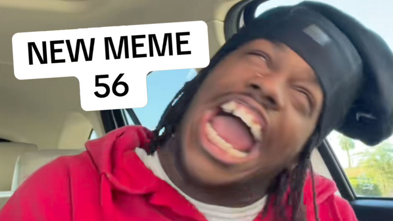 A screenshot from the original 56 Meme video on TikTok.