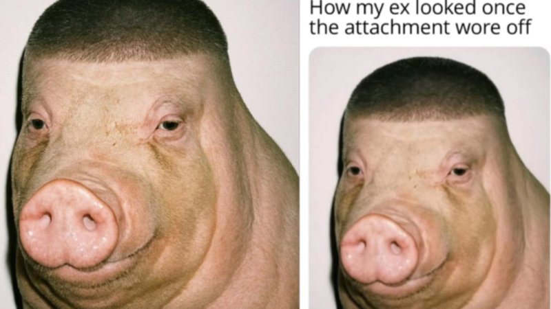 The Fade Pig Meme explained.