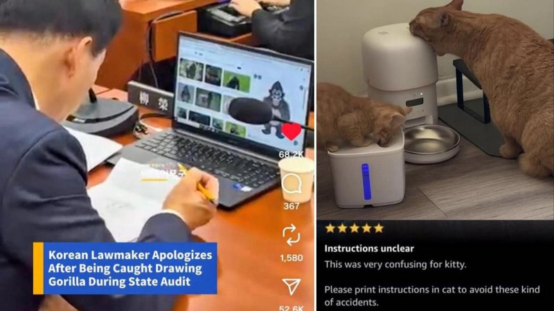 Two photos from the Internet.