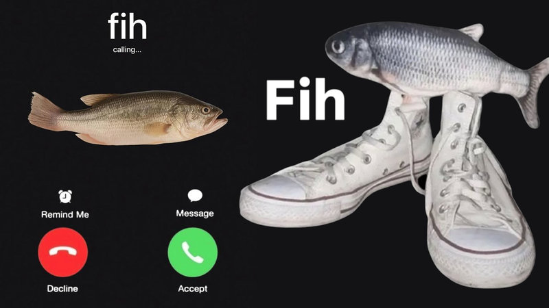 Two Fih memes from TikTok and Instagram.