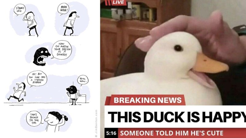 A wholesome comic strip and a photo of a happy duck.