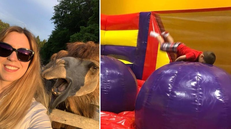 25 Times Someone Took The Perfect Photo