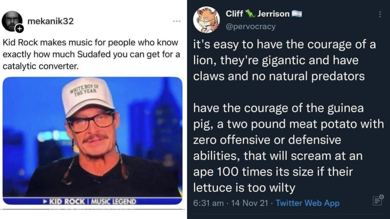 mekanik32
Kid Rock makes music for people who know
exactly how much Sudafed you can get for a
catalytic converter.
WHITE BOY OF
THE YEAR
KID ROCK I MUSIC LEGEND
Cliff Jerrison
@pervocracy
it's easy to have the courage of a
lion, they're gigantic and have
claws and no natural predators
have the courage of the guinea
pig, a two pound meat potato with
zero offensive or defensive
abilities, that will scream at an
ape 100 times its size if their
lettuce is too wilty
6:31 am -14 Nov 21 - Twitter Web App