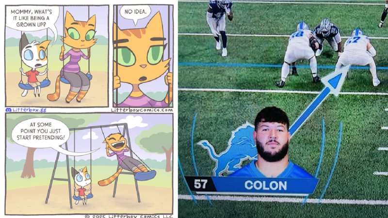 A comic with a cat about adulthood and a football player named Colon.
