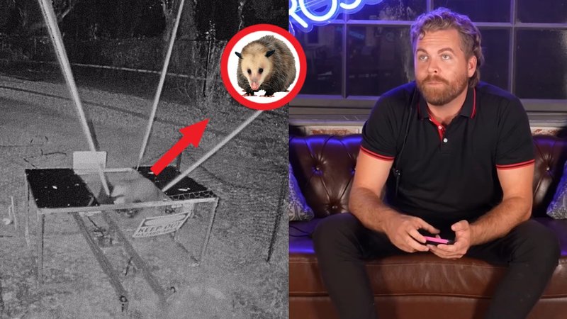 An image of the opossum launcher, a possum, and Ross Creations about to launch the opossum launcher.