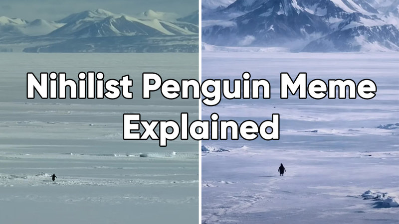 Nihilist Penguin / Penguin Walking Toward Mountain meme explained.