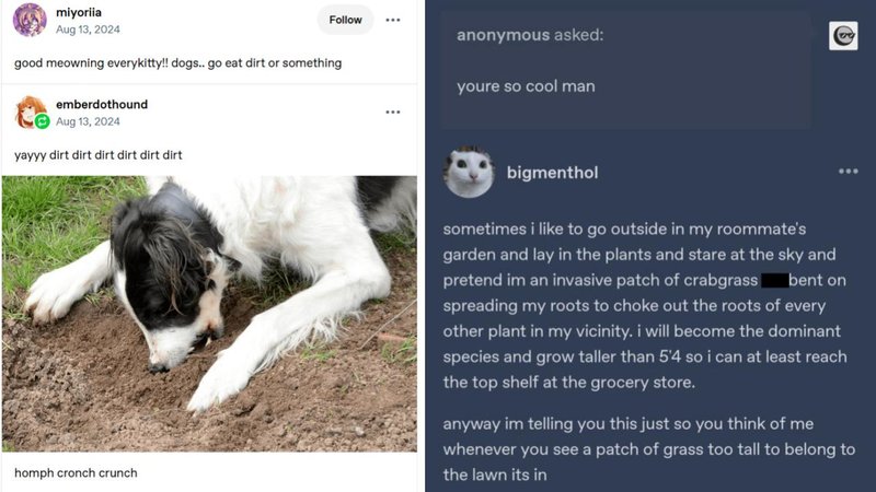 Two Tumblr posts.