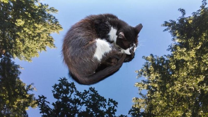 Two confusing, illusion-like images.