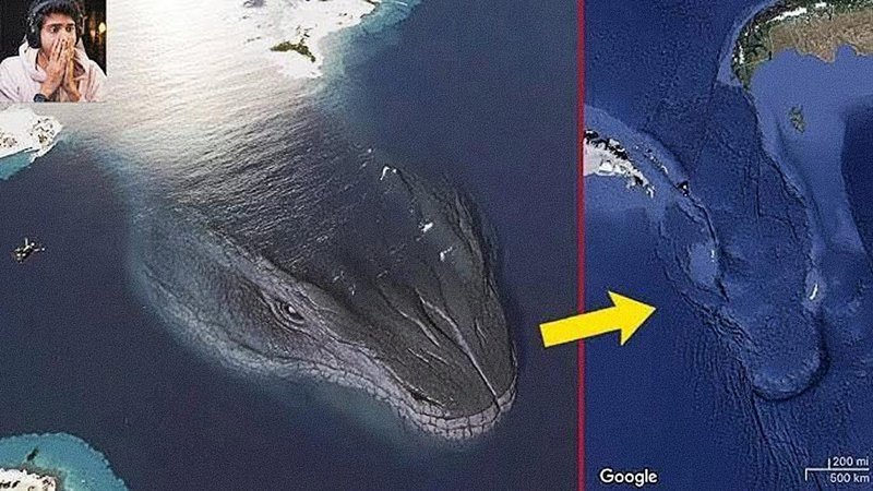 Leviathan waking up conspiracy theory depicting a graphic comparing an image of a sea monster to a bump in the ocean on Google Earth.