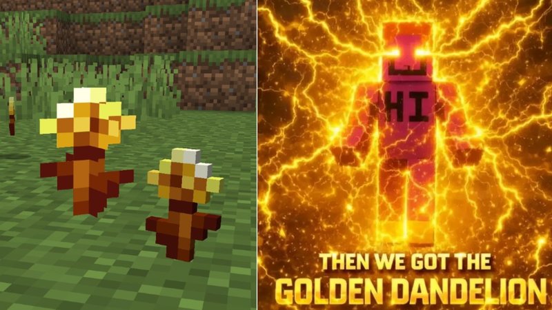 Golden Dandelion meme explained.