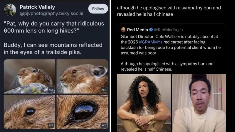 Two weird sentences.