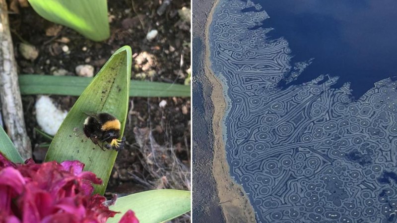 Two mildly interesting things.