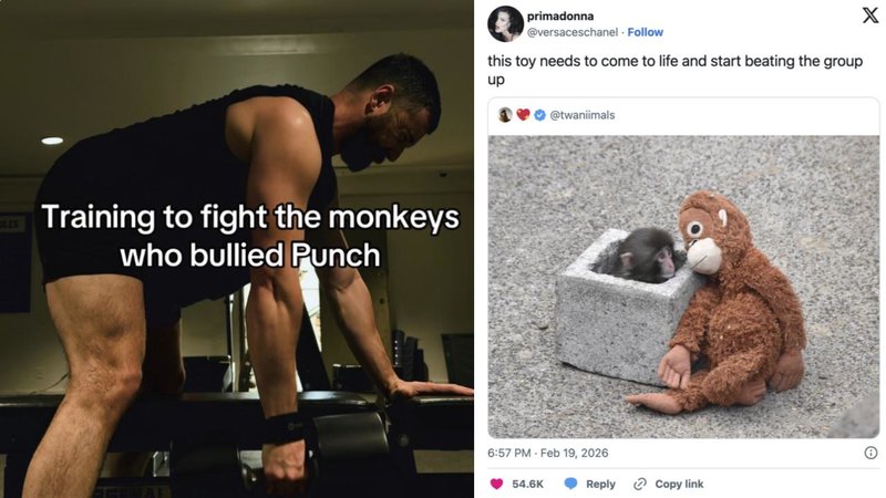 Two memes about Punch.