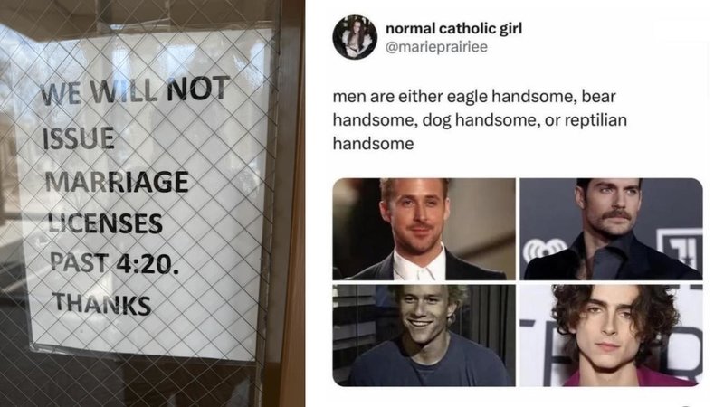 Two oddly specific sentences.