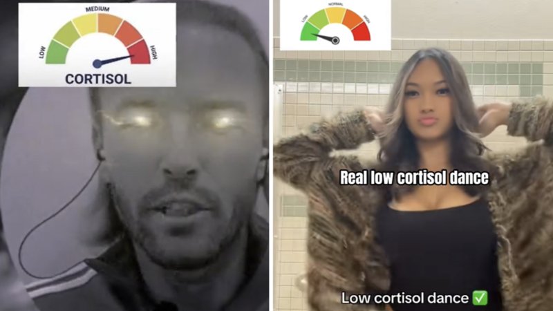 The Cortisol Spike / Cortisol Meter / Cortisol Level meme explained.